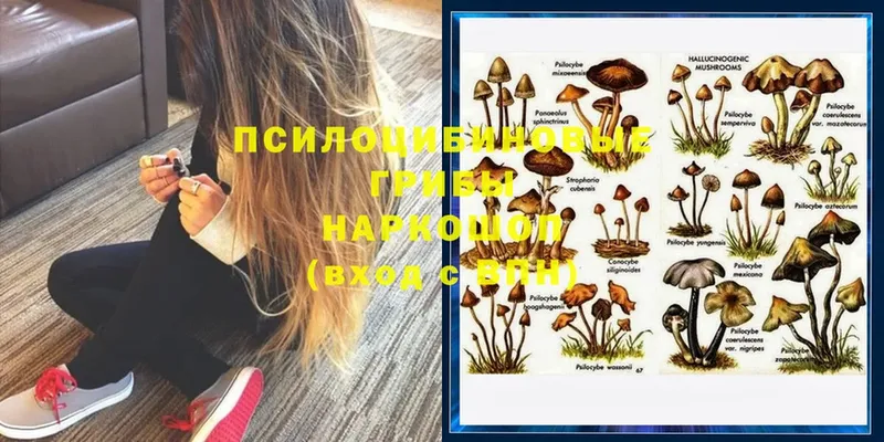 darknet формула  Вяземский  Псилоцибиновые грибы MAGIC MUSHROOMS  купить закладку 